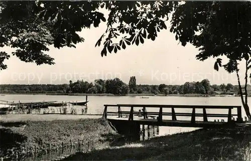 AK / Ansichtskarte Zeuthen Partie am Zeuthener See Zeuthen