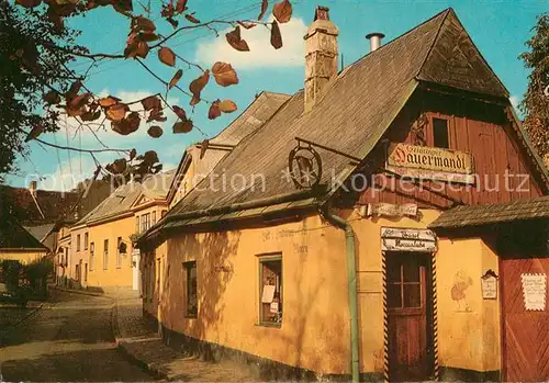 AK / Ansichtskarte Wien beim Heurigen das Hauermandl Wien