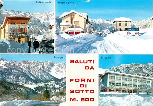 AK / Ansichtskarte Forni_di_Sotto Genzianelle Scuole Forni_di_Sotto