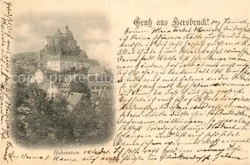 AK / Ansichtskarte Hersbruck Burg Hohenstein Hersbruck