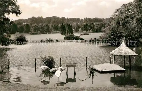 AK / Ansichtskarte Bielefeld Schwanenteich Bielefeld