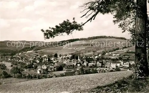 AK / Ansichtskarte Waldmichelbach Panorama Hoehenluftkurort im Odenwald Waldmichelbach