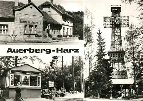 AK / Ansichtskarte Auerberg_Harz Restaurant Auerberg Kiosk Josephskreuz Auerberg Harz