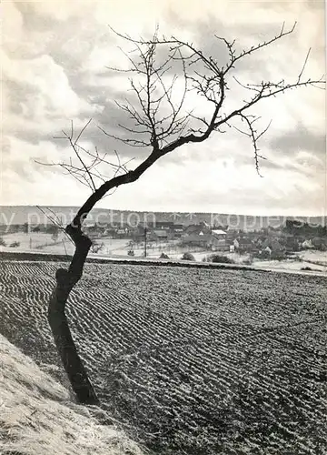 AK / Ansichtskarte Wallduern Vorfruehling im Odenwald Wallduern
