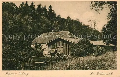 AK / Ansichtskarte Neuruppin Boltenmuehle Ruppiner Schweiz Neuruppin