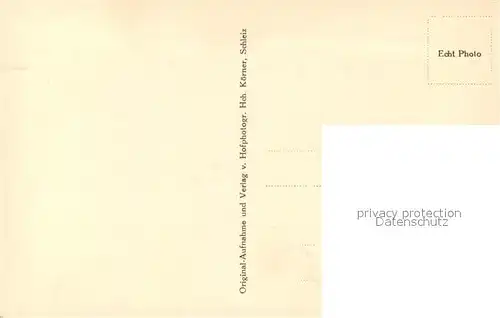 AK / Ansichtskarte Bleilochtalsperre Gesamtansicht Bleilochtalsperre