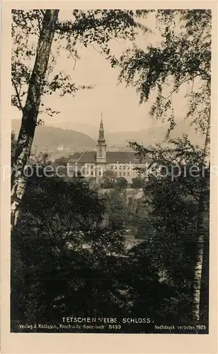 AK / Ansichtskarte Tetschen Bodenbach_Boehmen Schloss Tetschen Bodenbach Boehmen