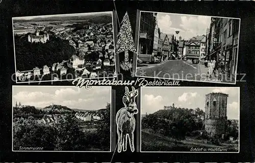 AK / Ansichtskarte Montabaur_Westerwald Sommerwiese Schloss Wolfsturm Grosser Markt Montabaur_Westerwald