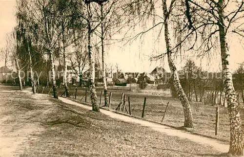 AK / Ansichtskarte Mirow Birken Blick zum Ort Mirow