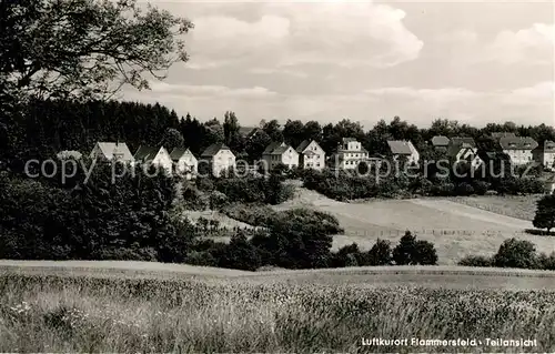AK / Ansichtskarte Flammersfeld Teilansicht Luftkurort Flammersfeld