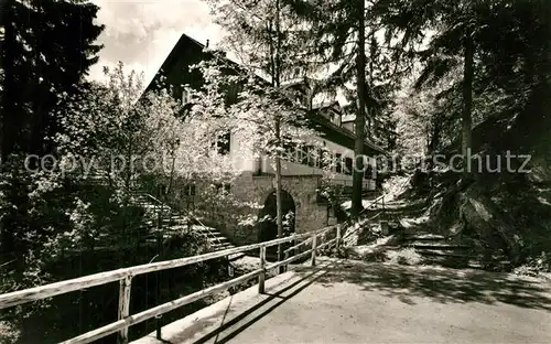 AK / Ansichtskarte Weiden_Oberpfalz Waldgastst?tte Blockh?tte Pension Karl Sonntag Weiden Oberpfalz