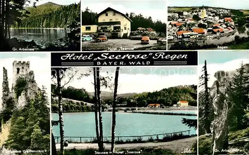 AK / Ansichtskarte Regen Hotel Seerose Stausee Arbersee Grosser Arber Burgruine Weissenstein Regen