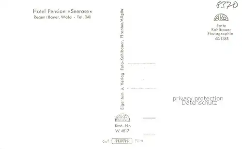 AK / Ansichtskarte Regen Hotel Seerose Stausee Arbersee Grosser Arber Burgruine Weissenstein Regen