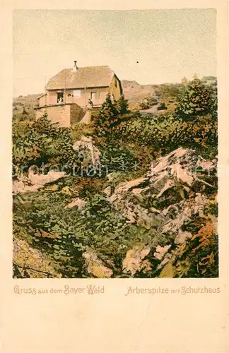AK / Ansichtskarte Arberspitze mit Schutzhaus Arberspitze