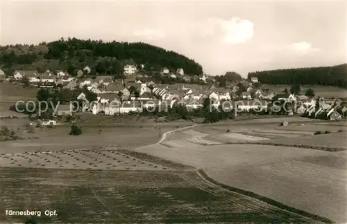 AK / Ansichtskarte Taennesberg Panorama Taennesberg