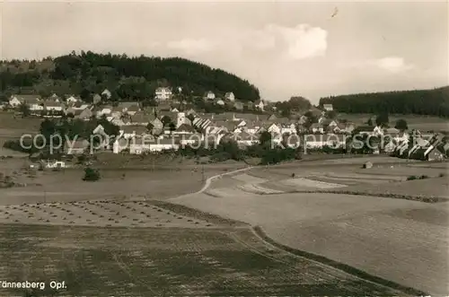AK / Ansichtskarte Taennesberg Panorama Taennesberg