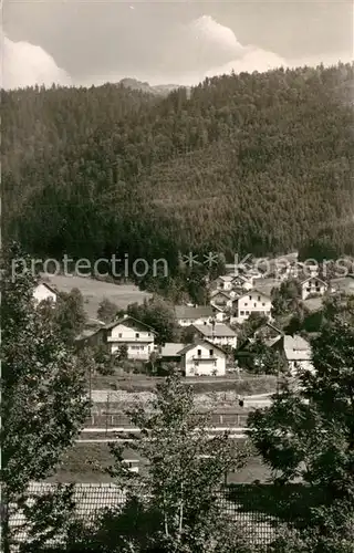 AK / Ansichtskarte Bodenmais Riessloch mit Arber Bodenmais