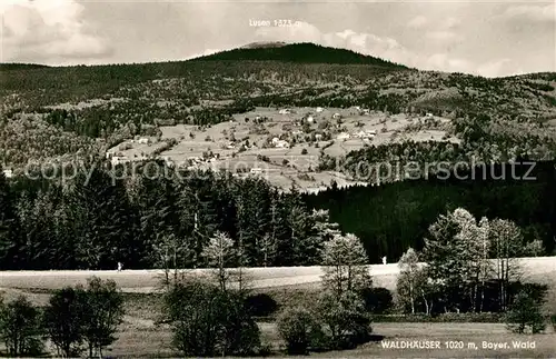 AK / Ansichtskarte Waldhaeuser_Neuschoenau Panorama Waldhaeuser Neuschoenau