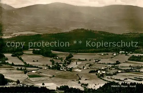 AK / Ansichtskarte Asbach_Teisnach Panorama 