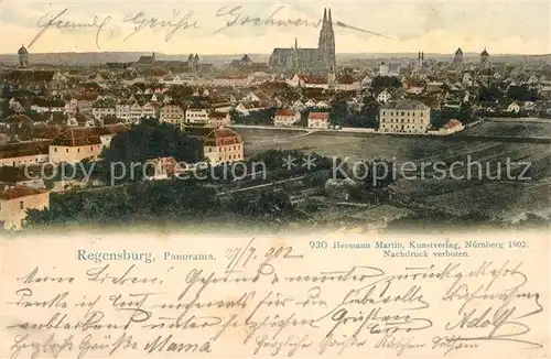 AK / Ansichtskarte Regensburg Panorama Muenster Regensburg