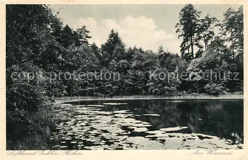 AK / Ansichtskarte Zechlin_Flecken Uferpartie am Wummsee Zechlin_Flecken