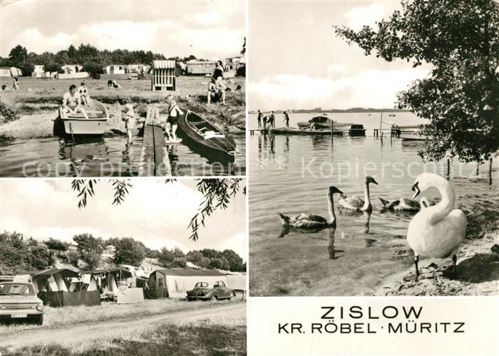 Ak Ansichtskarte Zislow Schwaene Am Strand Plauer See Hafen