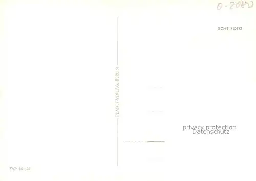 AK / Ansichtskarte Neustrelitz Panorama Blick ueber die Stadt Marktplatz Strelitzer Strasse Neustrelitz