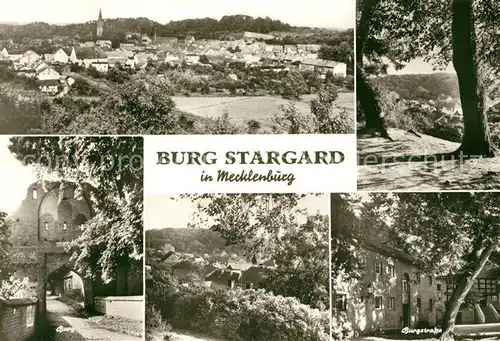 AK / Ansichtskarte Burg_Stargard Panorama Burgruine Burgstrasse Partie am Waldrand Burg_Stargard