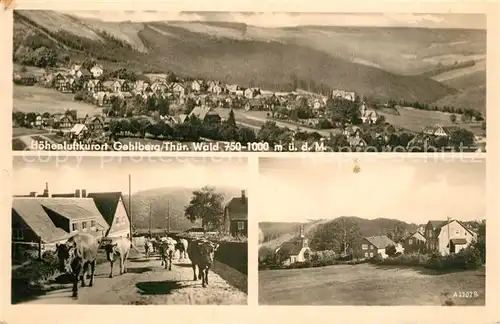 AK / Ansichtskarte Gehlberg Fliegeraufnahme Kuhherde Gehlberg