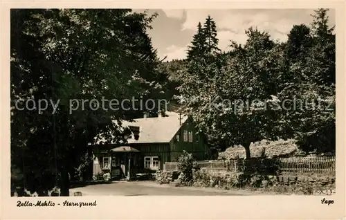 AK / Ansichtskarte Zella Mehlis Sterngrund Zella Mehlis