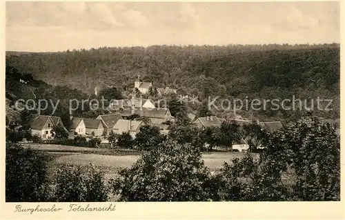 AK / Ansichtskarte Burghessler total Burghessler