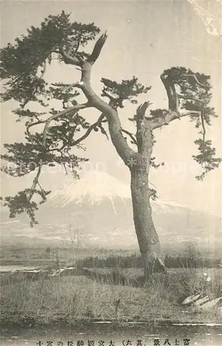 AK / Ansichtskarte China Panorama Baum China