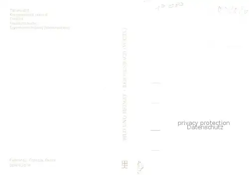 AK / Ansichtskarte Altentreptow Teilansicht mit Kirche Poliklinik Freibad Friedensstrasse Siedlung Altentreptow