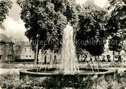 AK / Ansichtskarte Rheinsberg Springbrunnen im Stadtpark Rheinsberg