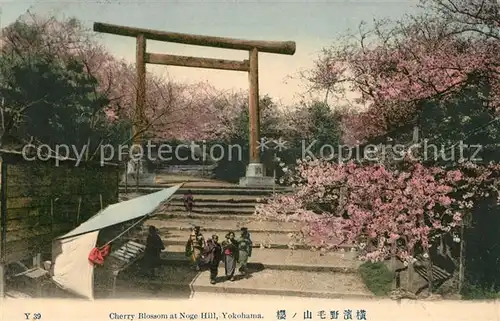 AK / Ansichtskarte Yokohama Cherry Blossom Nogo Hill Yokohama