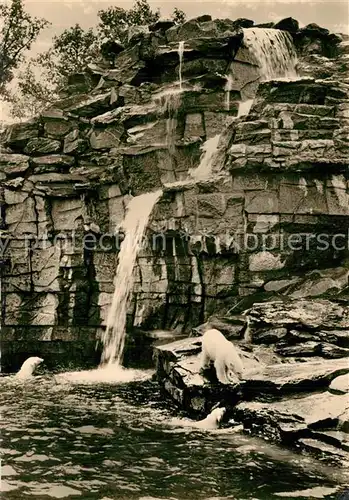 AK / Ansichtskarte Berlin Tierpark Eisbaeren Freianlage mit Wasserfall Berlin