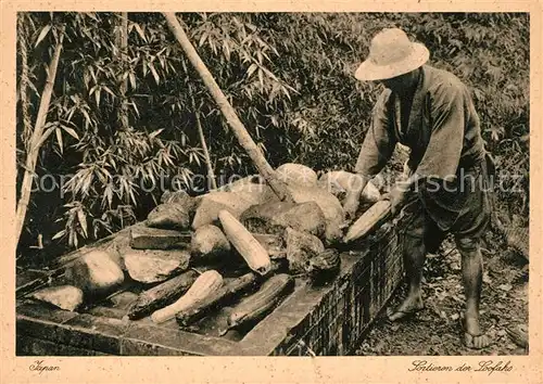 AK / Ansichtskarte Japan Sortieren des Loofahs Japan