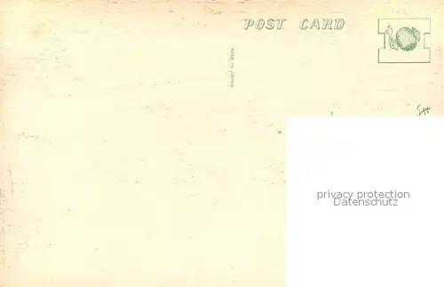 AK / Ansichtskarte Japan Hot Spring Tea House Japan