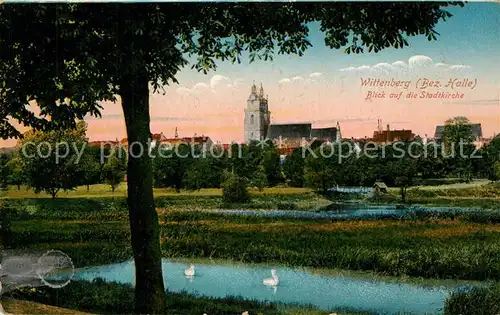 AK / Ansichtskarte Wittenberg_Lutherstadt Blick auf die Stadtkirche Schwanenteich Wittenberg_Lutherstadt