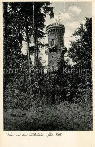 AK / Ansichtskarte Ilmenau_Thueringen Turm auf dem Kickelhahn Ilmenau Thueringen
