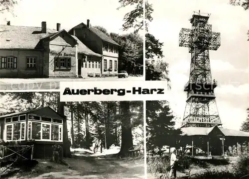 AK / Ansichtskarte Auerberg_Harz Restaurant Auerberg Weg zur Josephs?he Josephskreuz Auerberg Harz