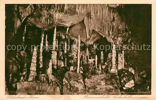 Ruebeland_Harz Baumannshoehle Saeulenhalle Tropfsteinhoehle Kupfertiefdruck Ruebeland_Harz