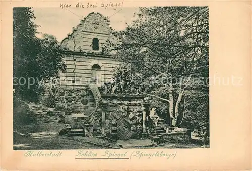 Halberstadt Schloss Spiegel Spiegelsberge Halberstadt