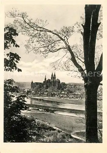 Meissen_Elbe_Sachsen Panorama Blick ueber die Elbe zur Albrechtsburg und Dom Meissen_Elbe_Sachsen