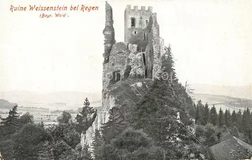 AK / Ansichtskarte Regen Ruine Weissenstein Regen