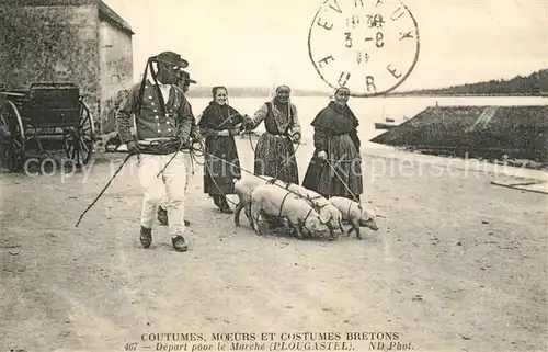 AK / Ansichtskarte Plougastel Daoulas Coutumes Moeurs et Costumes Bretons Schweine an der Leine Plougastel Daoulas