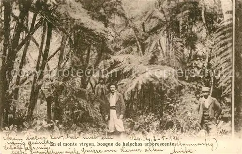 AK / Ansichtskarte Argentinien En el monte virgen bosque de helechos arborescentes Argentinien