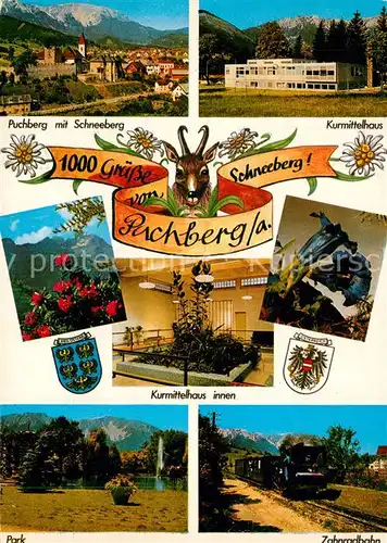 AK / Ansichtskarte Puchberg_Schneeberg Panorama mit Schneeberg Kurmittelhaus Park Zahnradbahn Alpenflora Gemse Puchberg Schneeberg
