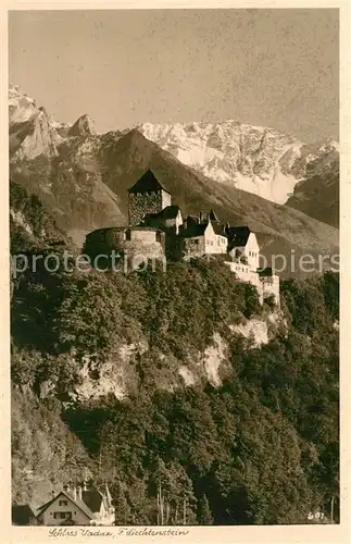 AK / Ansichtskarte Liechtenstein  Schloss Vaduz 