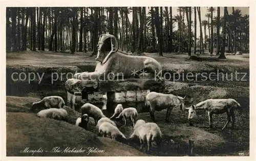 AK / Ansichtskarte Memphis_Aegypten Alabaster Sphinx  Memphis Aegypten